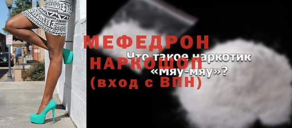 гидра Богородск