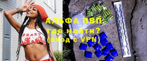 сатива Богородицк
