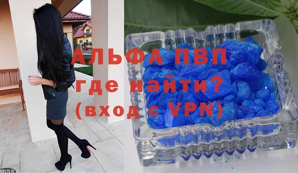 гидра Богородск