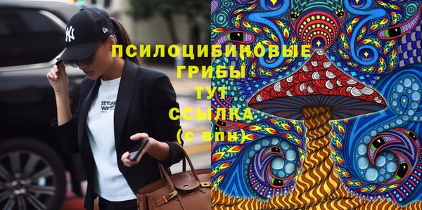 гидра Богородск