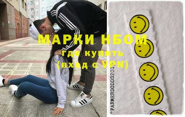 гидра Богородск