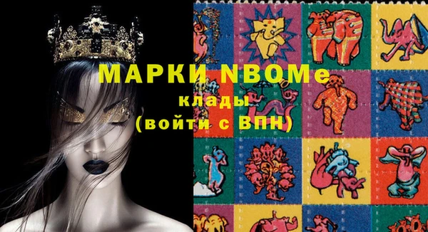 гидра Богородск