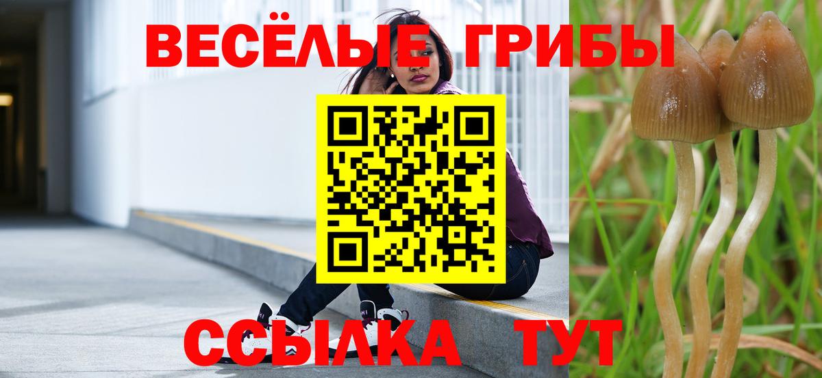 Галлюциногенные грибы мицелий Надым